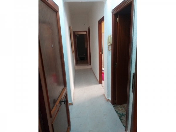 Mª 007-01795