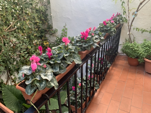 ALE003-01812