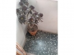 Mª 007-02236
