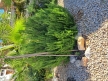 ALE003-02302