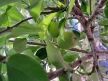 ALE003-02302